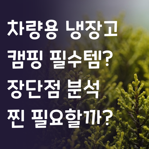 차량용 냉장고, 캠핑 필수템일까? 장..
