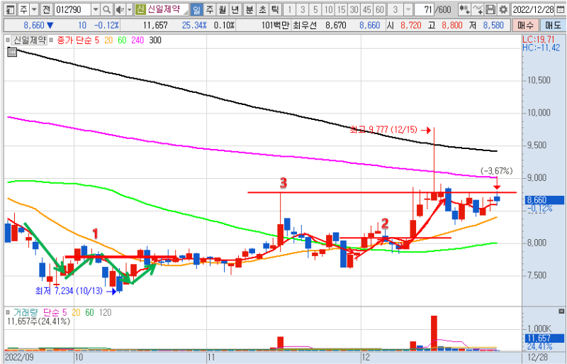 2022년 12월 28일 신일제약 일봉 차트