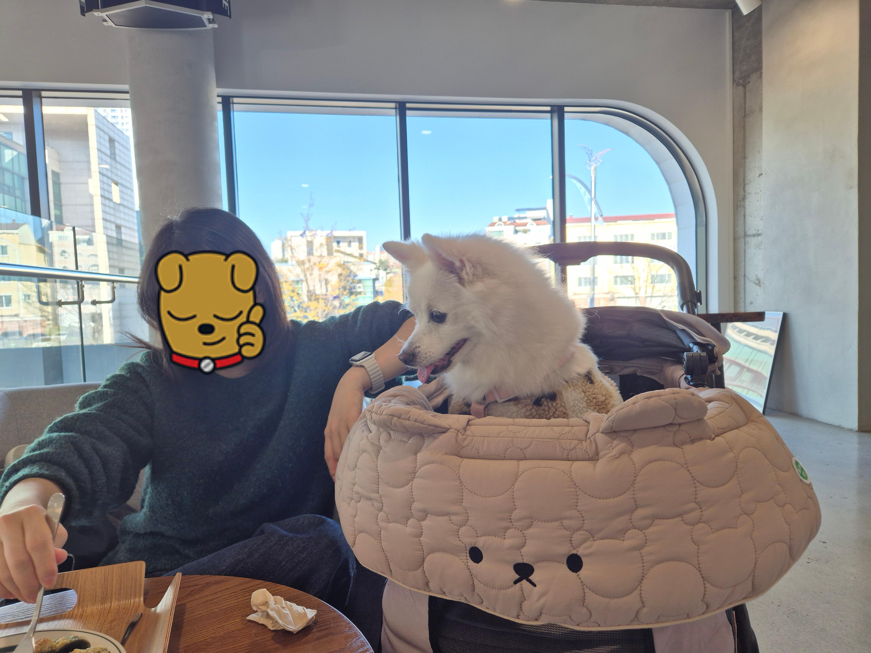 강아지 유모차