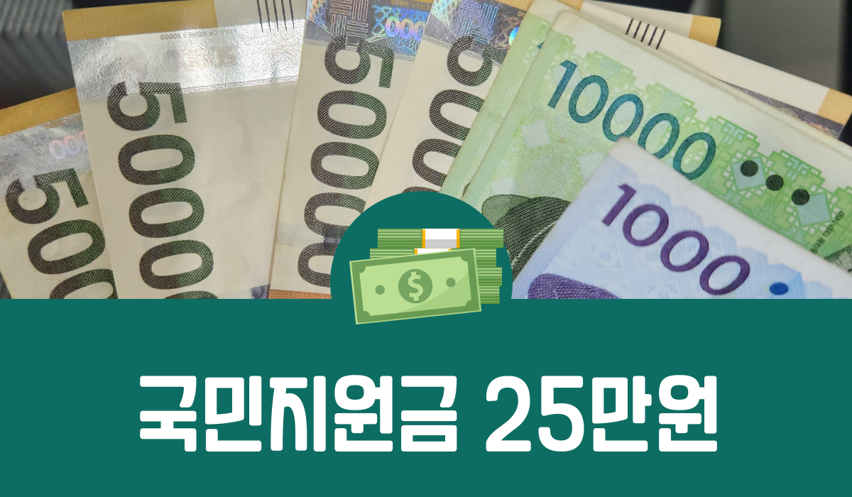 국민지원금 25만원