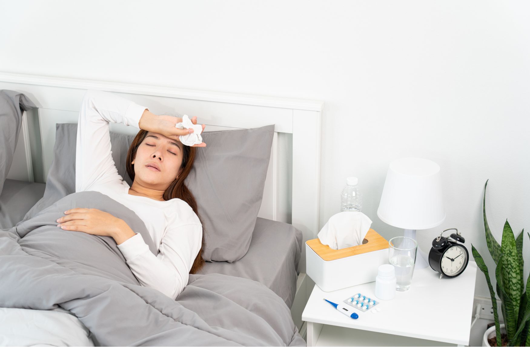 독감 키트 가격