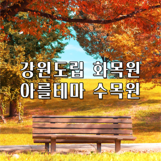 강원도 여행