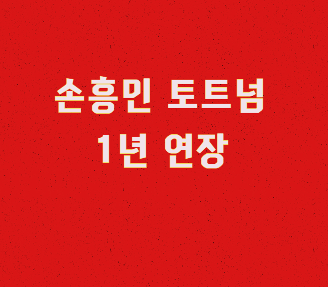 손흥민 토트넘 연장