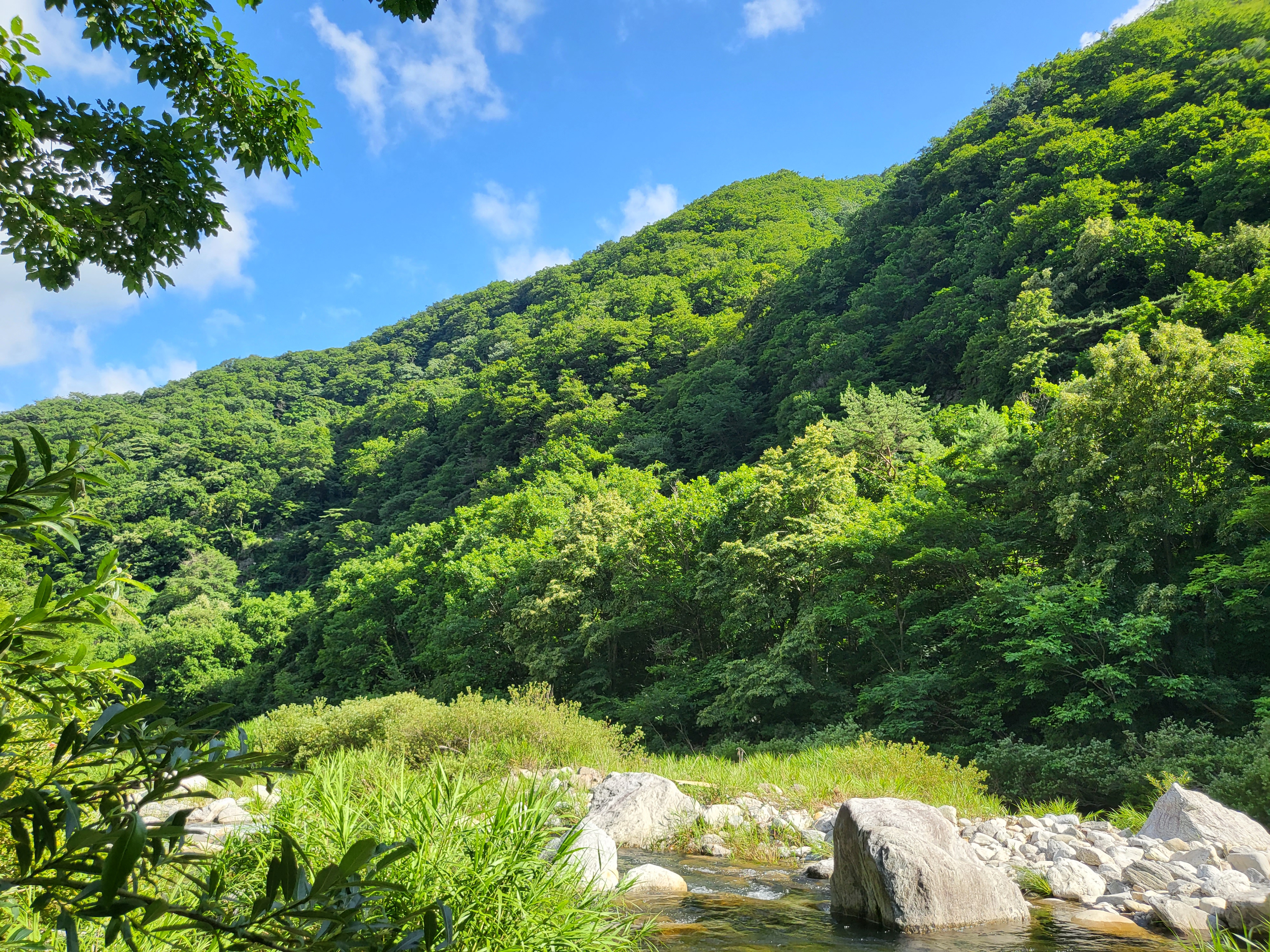 루루키즈팬션 - 계곡 풍경