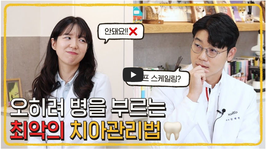 강아지 이빨 관리, 절대 이렇게 하지 마세요!