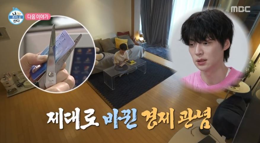 안재현 나혼산 고양이 반려묘 안주 일상 근황