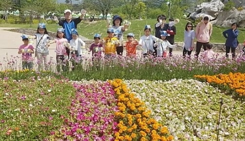 전남 함평 나비 축제장