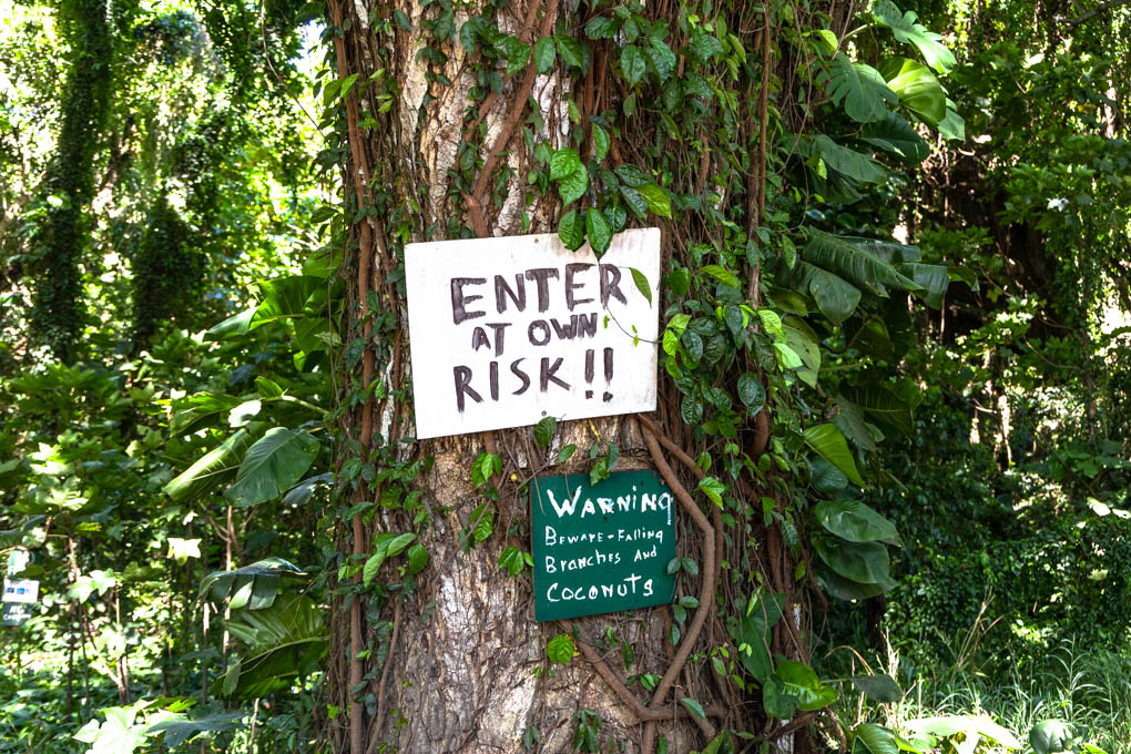 마우이 호놀루아 베이