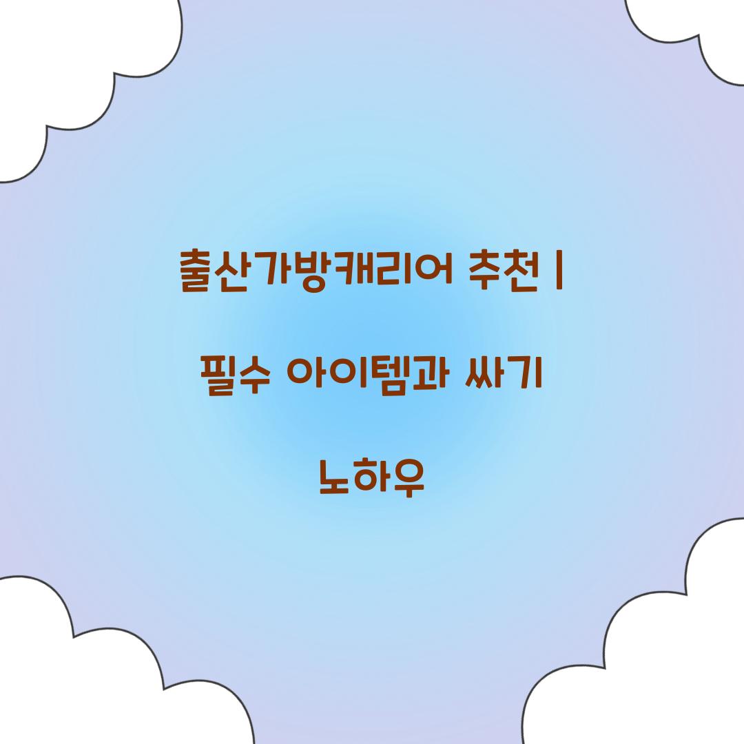 출산가방캐리어 추천