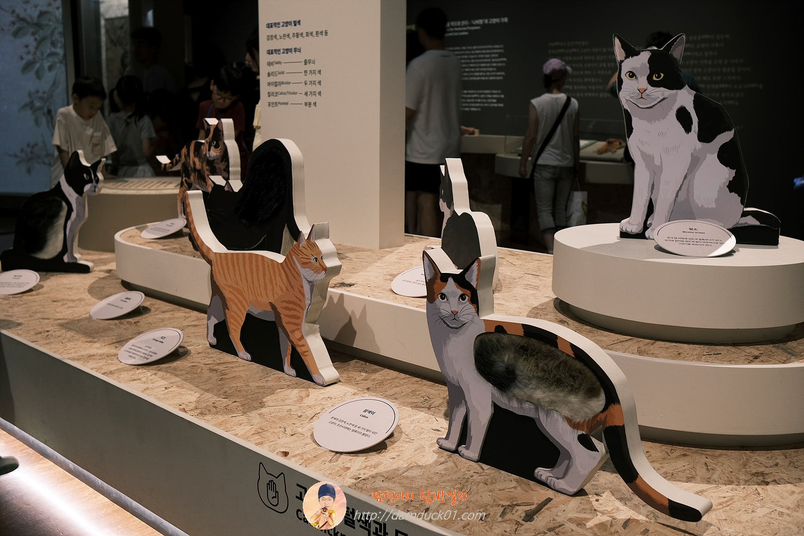 귀엽고 요망한 고양이