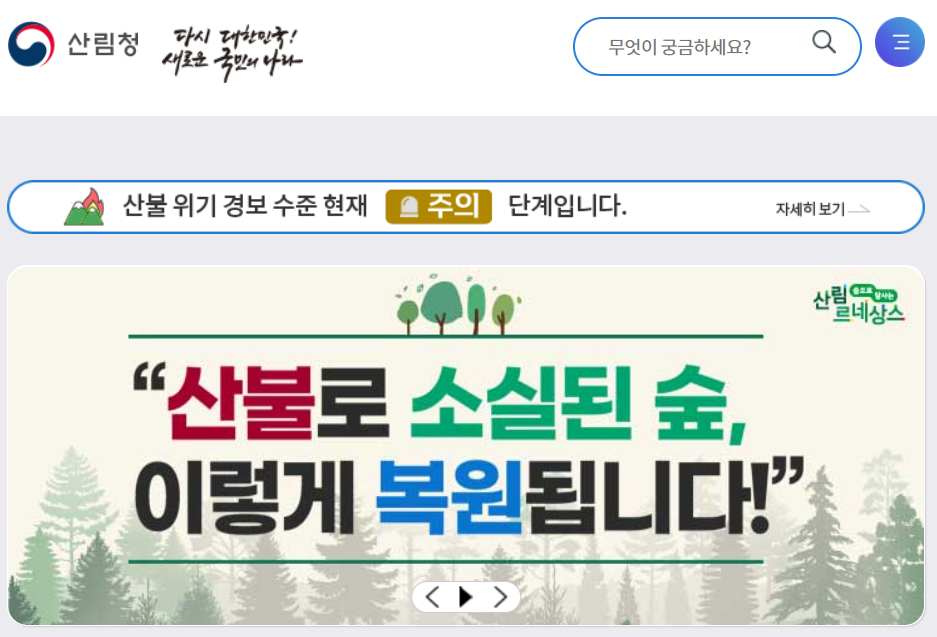 산림청 홈페이지
