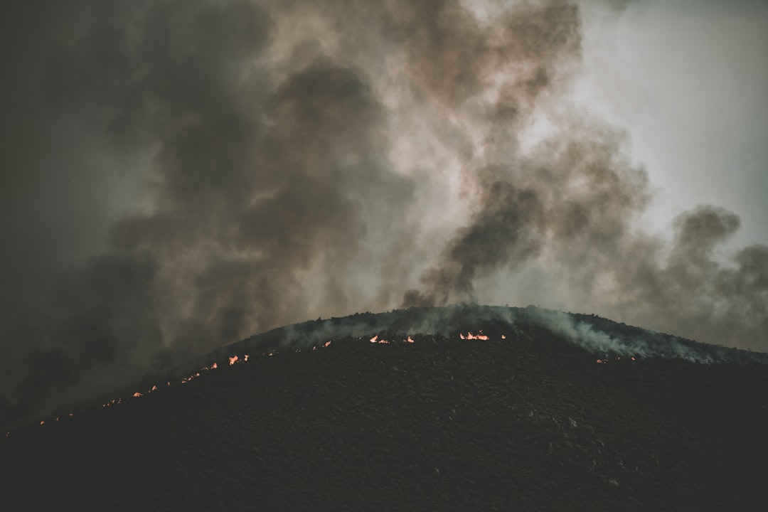 Wildfire