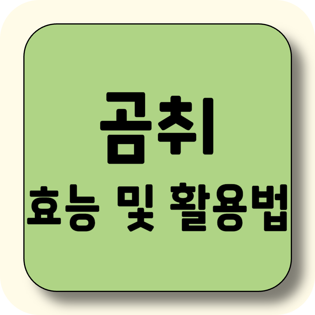 봄철 산나물의 여왕, 곰취! 곰취 효능부터 아이와 함께하는 요리까지 완벽 가이드
