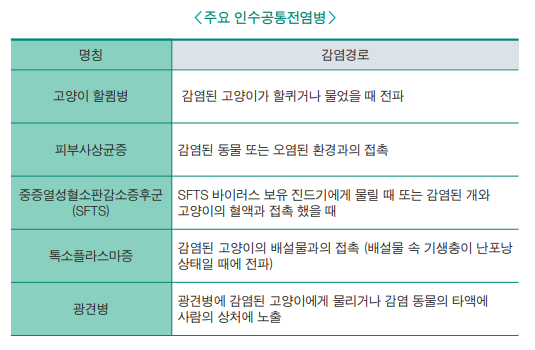 길고양이-만지면-전염병