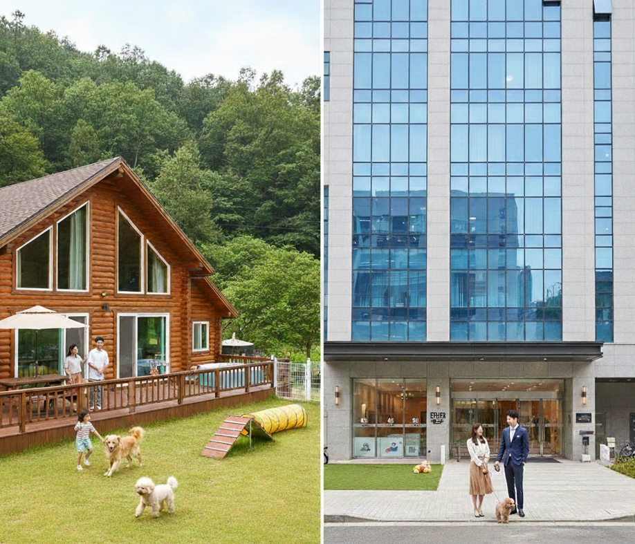 애견펜션 vs 애견가능 호텔
