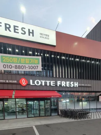 롯데프레시 영업시간 마포점 광주하남점_24