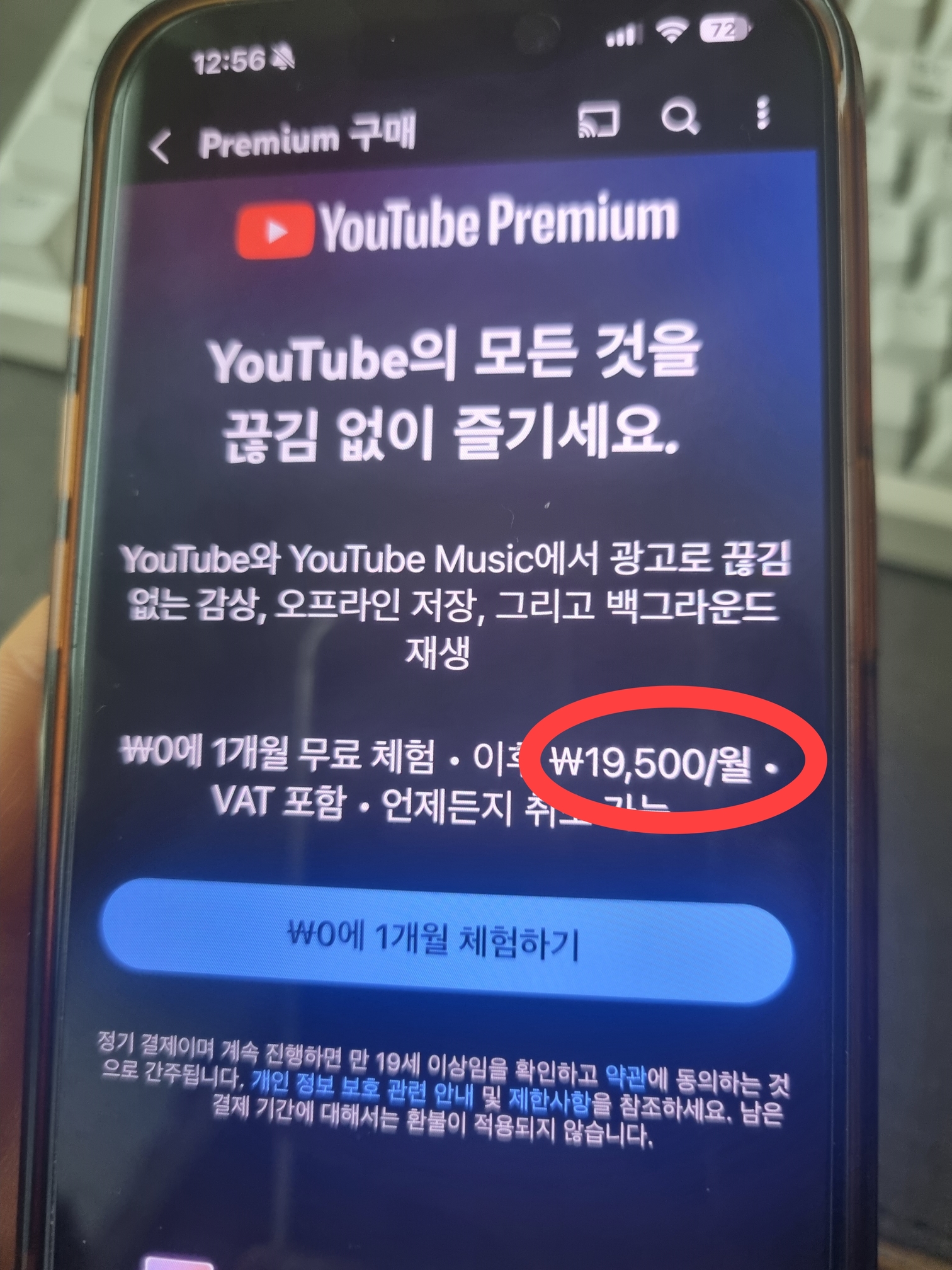 유튜브-프리미엄-가격-아이폰