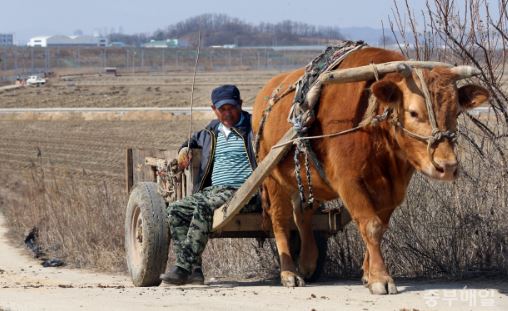 똥차꿈해몽, 분뇨차꿈해몽, 소달구지꿈,수레꿈, 똥차꿈, 똥냄새꿈, 보는꿈