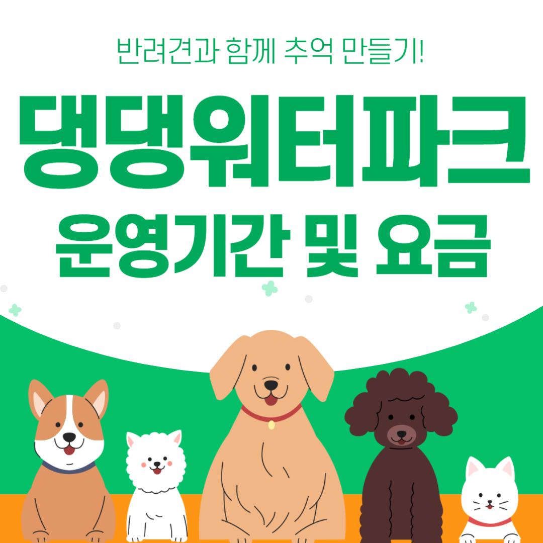 댕댕워터파크-썸네일