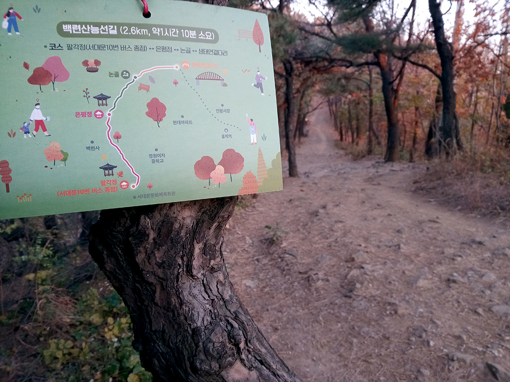 서대문구 백련산능선길 나혼자걷기 챌린지