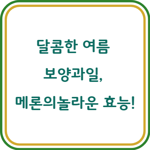 메론 효능