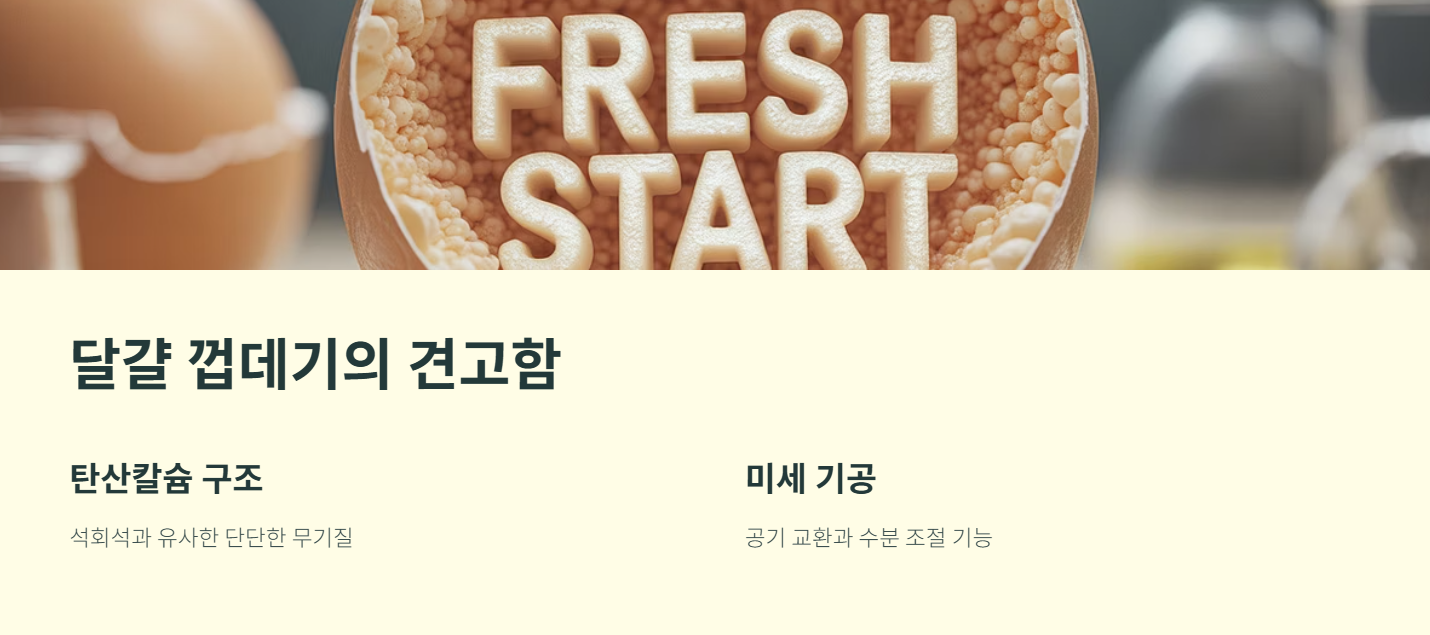 달걀 껍데기의 견고함