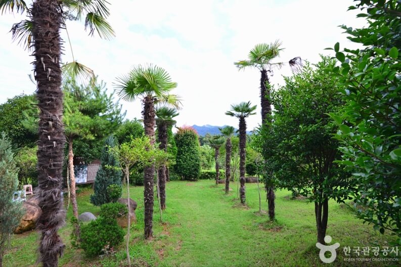 보성 가볼만한곳 베스트 10