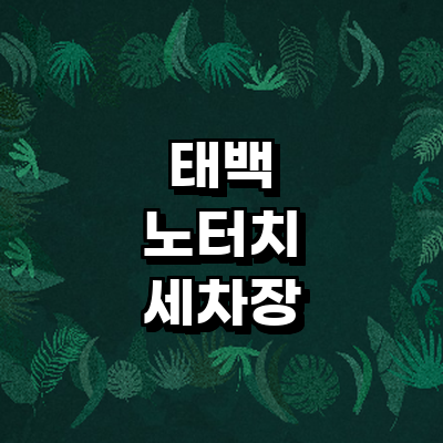 태백시 노터치 세차