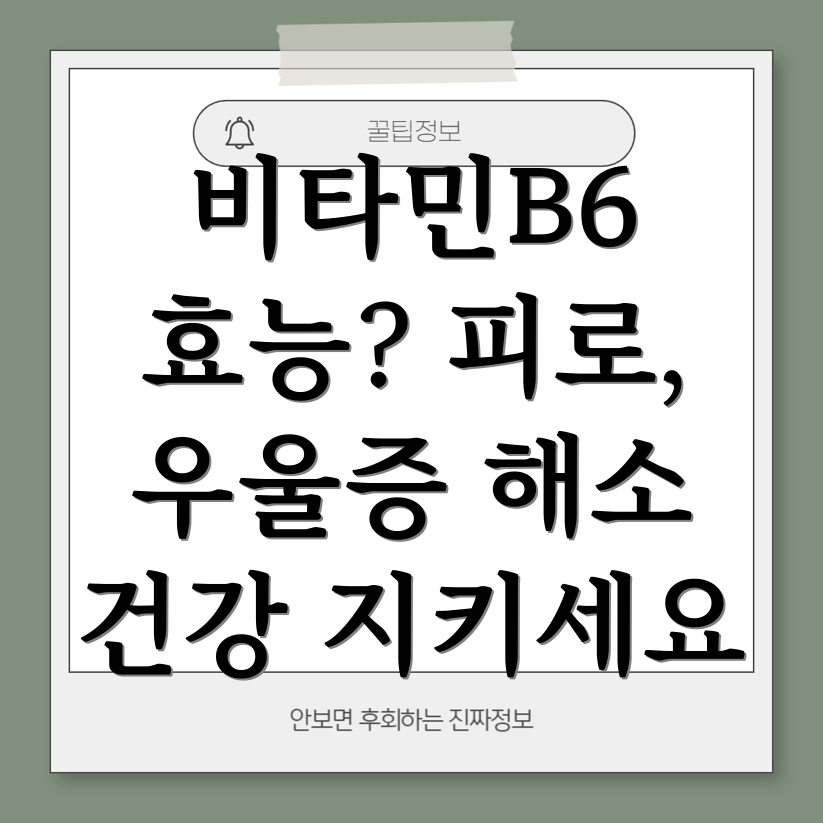 비타민 B6 효능