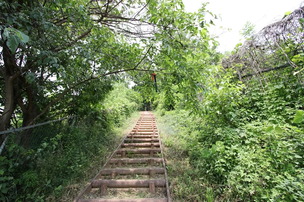 평화누리길 6코스 초반 심학한 오르막길 사진