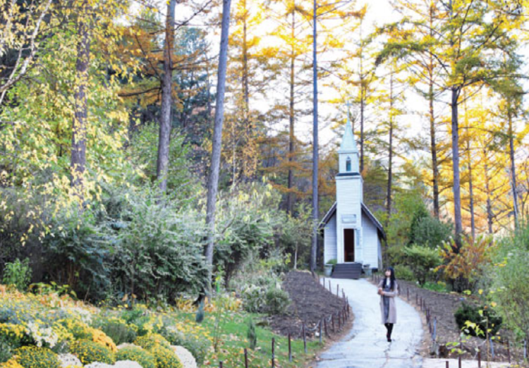 아침고요 수목원
