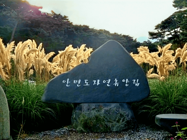 안면도-자연휴양림