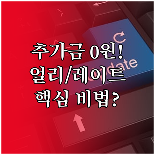 얼리체크인 레이트체크아웃 추가 요금 ..
