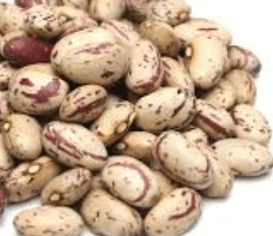 호랑이콩 순지르기