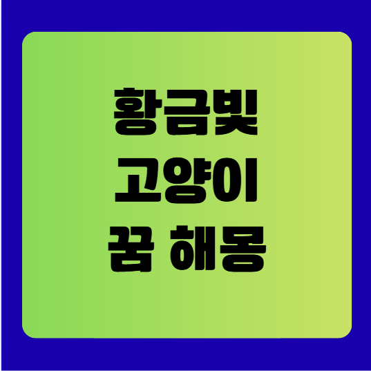 황금빛 고양이 꿈 해몽