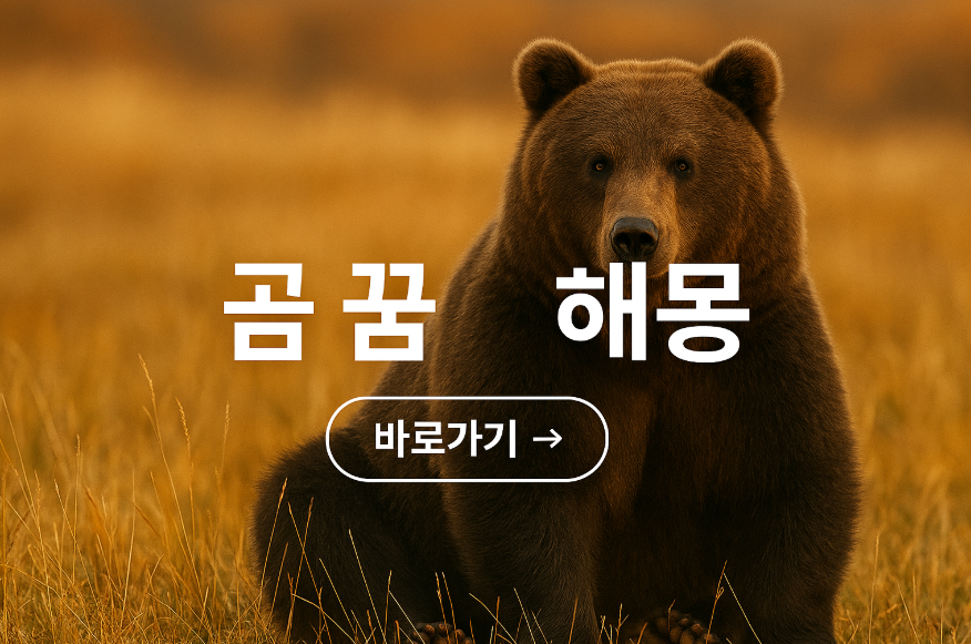 곰 꿈 해몽