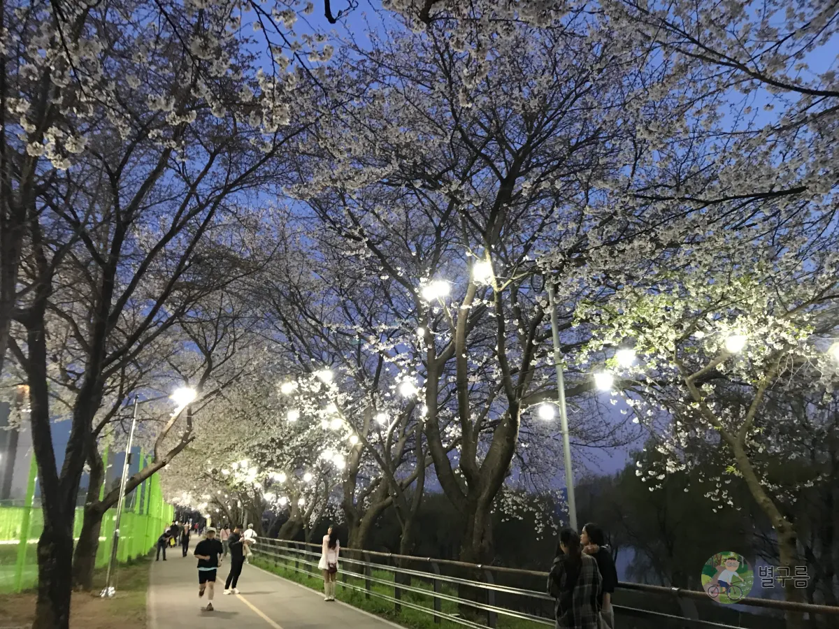 갈산공원-야경-벚꽃-산책길