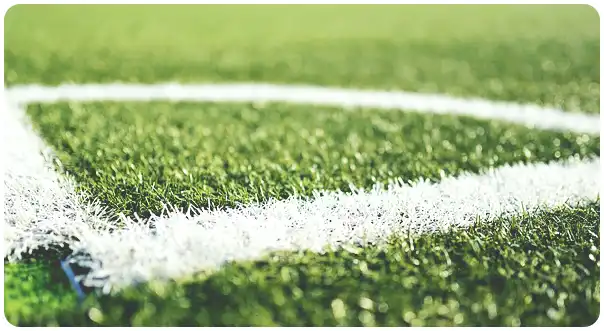 손흥민 연봉 (순위, 재계약 협상은 어떻게?)