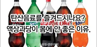 액상과당 종류 특성 유해성 판단_14