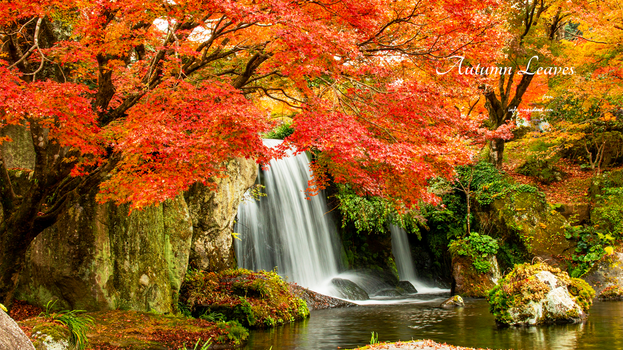 07 단풍과 폭포 C - Autumn Leaves 단풍배경화면