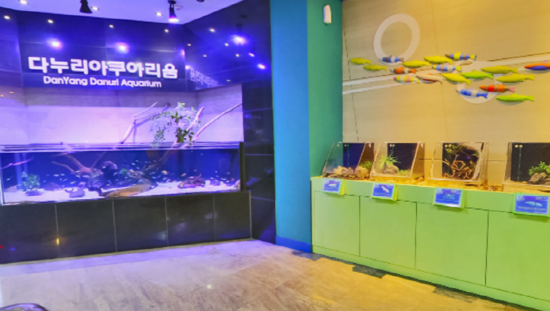단양 아쿠아리움