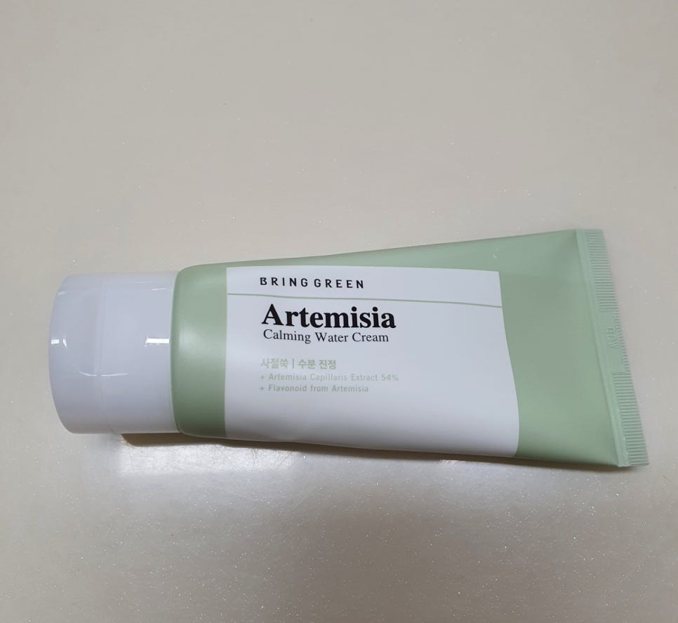 브링그린 사철쑥 수분크림