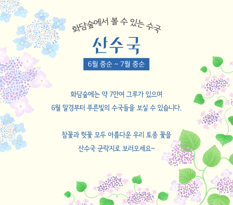 화담숲 수국축제