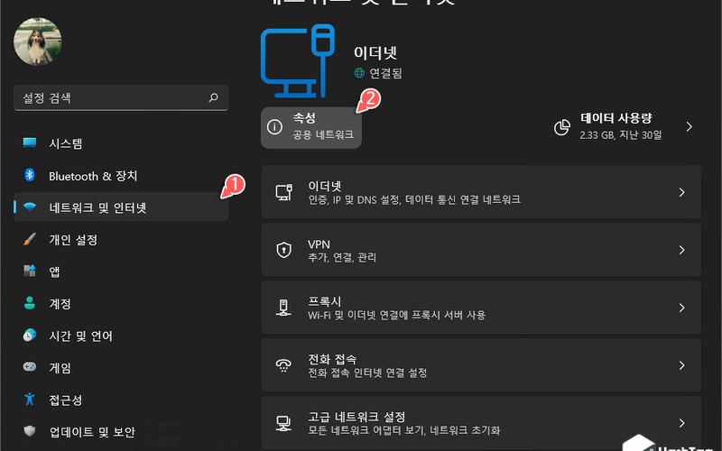 윈도우11 DoH DNS 암호화 설정 방법 및 보안 최적화 가이드 - 시