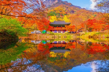 2024년 단풍절정시기