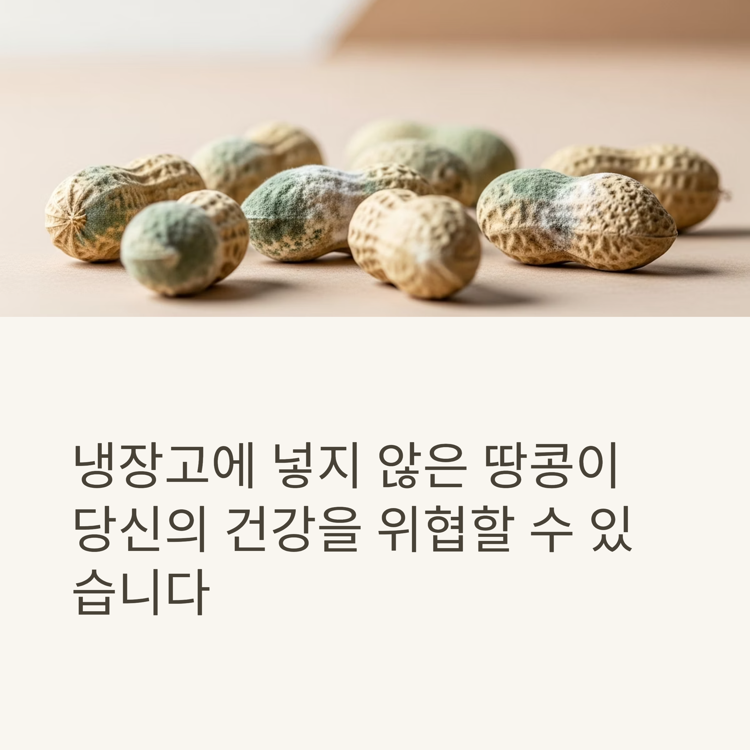 냉장고에 넣지 않은 땅콩이 당신의 건강을 위협할 수 있습니다