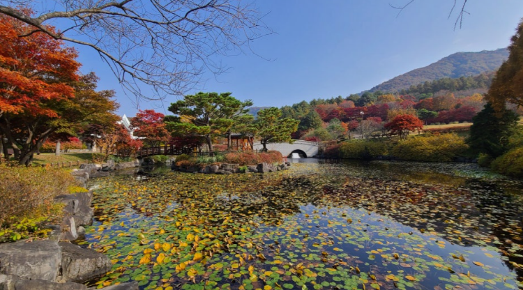 금강수목원