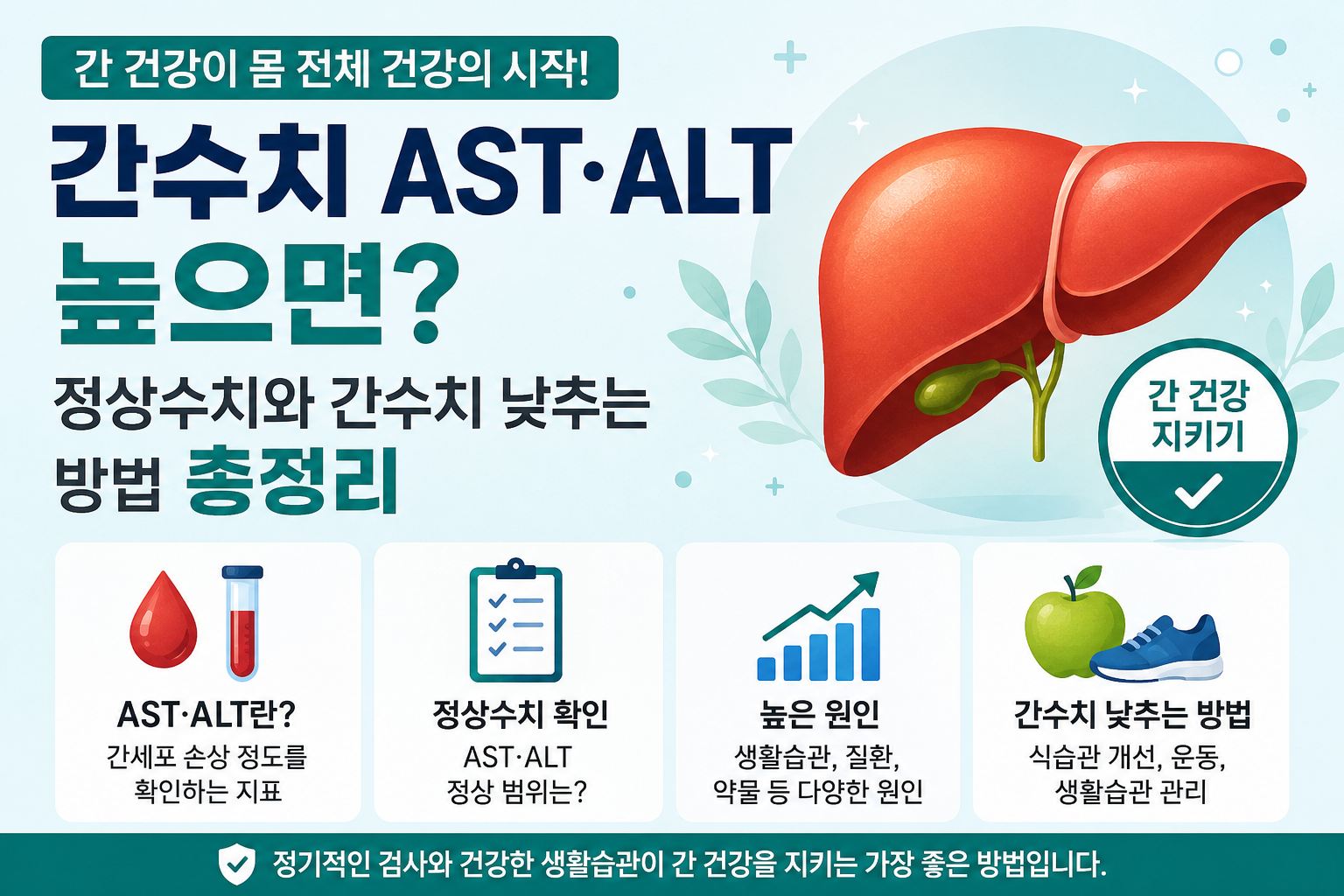 간수치 AST ALT 정상수치와 간수치 높은 원인 안내 이미지