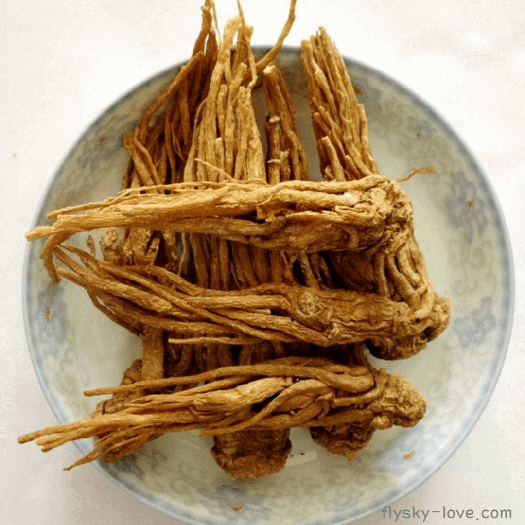 안젤리카 (Angelica) 뿌리