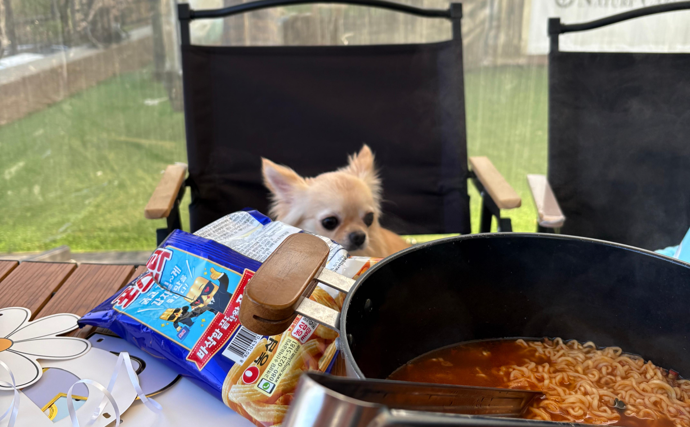 강화도 메리 글램핑 데이트 코스: 반려견과 함께하는 낭만적인 감성 여행 가이드